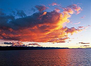 《第一后裔》新后裔海莉预告 狙击手无情消灭敌人