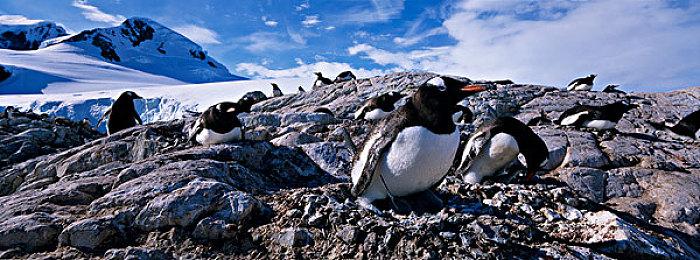 城市营造类游戏《世外之地》 在Steam推出试玩Demo